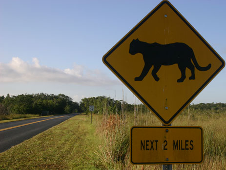 Florida Panther Crossing Sign Florida