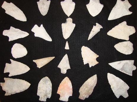 Collection of Indian Arrowheads North Florida