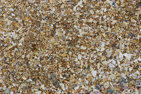 beach sand texture. Florida#39;s each sand – #39;sugar