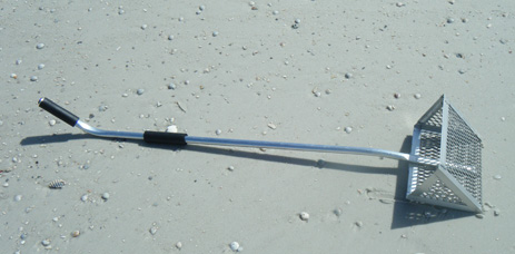 Sand Flea Sand crab beach hopper rake Florida fishing bait