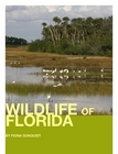 Wildlife of Florida 2011